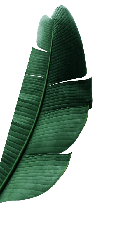 left leaf