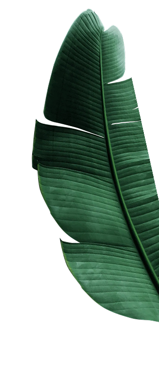 right leaf